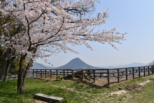 丸亀城