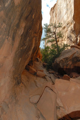 Arches National Park USA
