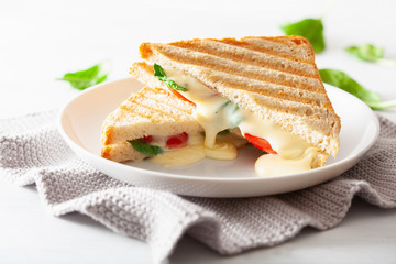grilled cheese and tomato sandwich on white background