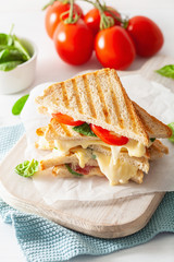 grilled cheese and tomato sandwich on white background