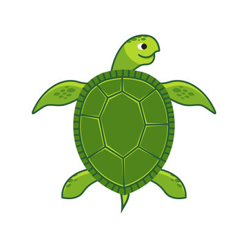 Green Sea Turtle icon, Vector