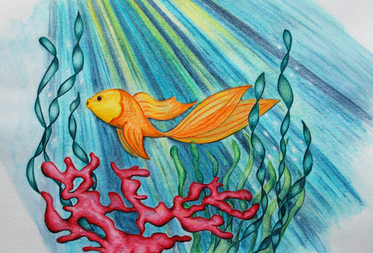 Fisch mit Koralle