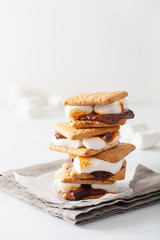 homemade marshmallow s'mores with chocolate on crackers