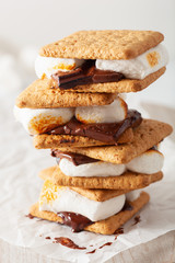 homemade marshmallow s'mores with chocolate on crackers