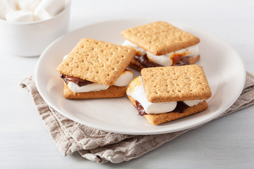 Fototapeta na wymiar homemade marshmallow s'mores with chocolate on crackers