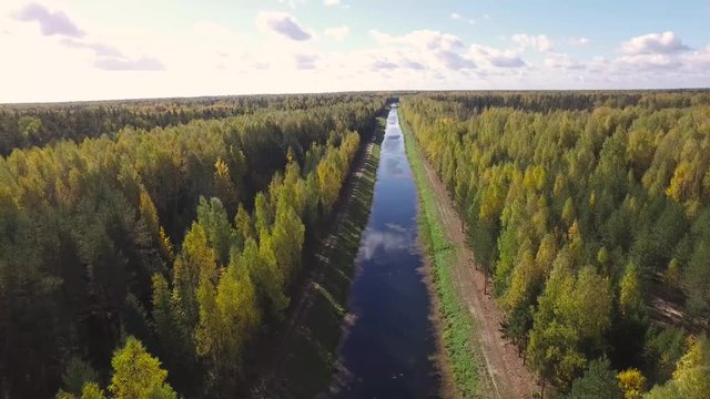 Aerial view of the river in the autumn forest