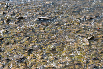 Running water with stones in a mountain stream, close-up, background, texture - motion concept