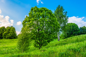 Obraz premium Beautiful summer countryside with hills, trees and sky with clouds