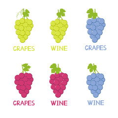 Colorful grapes icons, handwritten words Grapes and Wine.