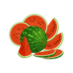 Composition of a whole and cut watermelon. Vector still life. Cut and beautifully laid out watermelon.