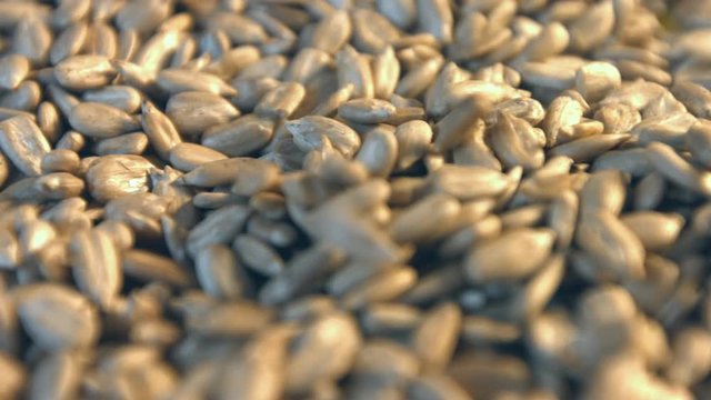 Shelled sunflower seeds.
1. Sunflower seeds fall down and fill the space frame. Horizontal ( from right to left ) slow pan.
2. Vertical ( from top to bottom ) slow pan.