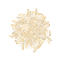 Realistic Vector Rice Isolated