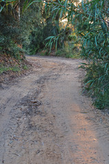 Ecovia - cycling road in Ludo, Algarve, Portugal
