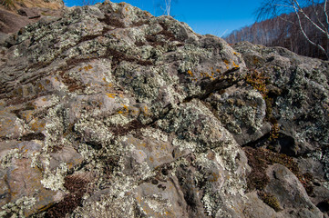 moss on the rocks in spring, orange, gray and yellow, near the pond, lit by the sun,