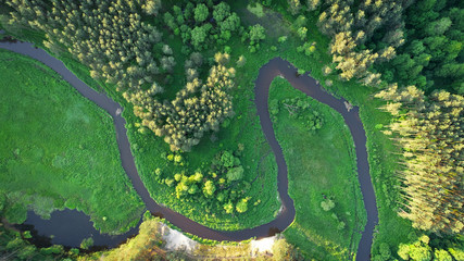 Aerial view of natural river in spring © Piotr Krzeslak