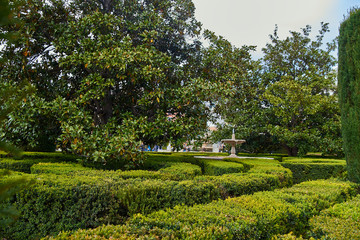 Fantastic beautiful park with lots of greenery. A small labyrinth of ornamental clipped boxwood shrubs. Decorative thickets of bushes in the park, in the center of the thicket is an exquisite fountain