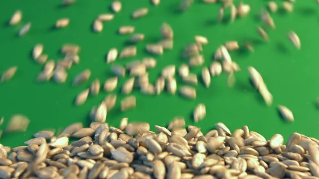 Shelled sunflower seeds on a green background. 2 Shots. Close-up.
1. Sunflower seeds rolling down on a green background.
2. Horizontal ( from left to right ) slow pan.