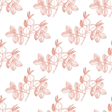 Rose Hip Pattern in Hand Drawn Style