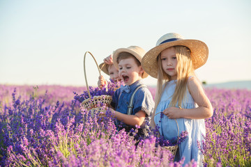 Three happy children in lavender field