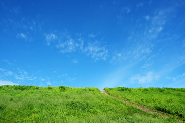 Fototapeta na wymiar Green grassland has stairs up. There is a blue sky as the background.