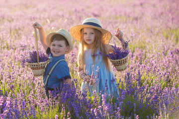 Brother and sister in lavender field