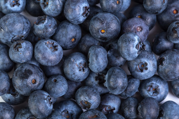 Freshly picked blueberries