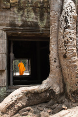 Monk, giant tree and roots in temple Ta Prom Angkor wat