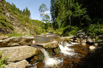 Belgique Wallonie Fagnes Ruisseau  cascades promenades vacances