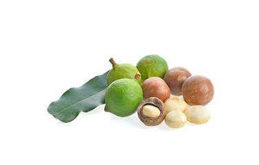 Macadamia nut on white background