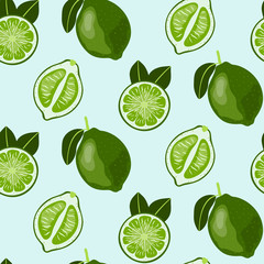 Hand drawn seamless pattern with Lime Fruit. Colorful vector wallpaper.