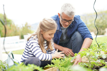 Father and daughter gardening together, home vegetable garden