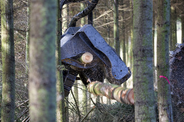 Harvester im Einsatz