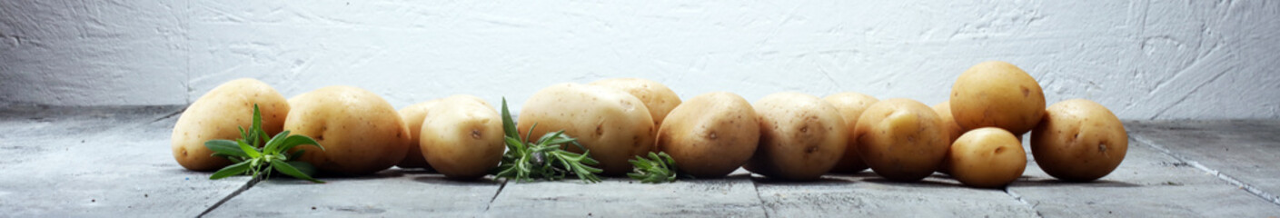 Pile of potatoes lying on table. Fresh potato and rosemary