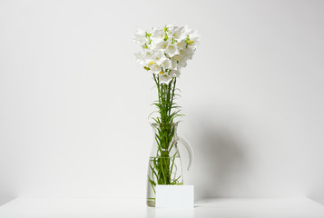 bellflower in a vase on a table by the wall and blank sheet for text, white background