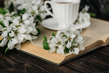 Fototapeta na wymiar Cup of tea, book, flowers 