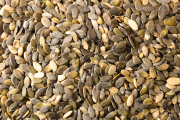 raw pumpkin seed