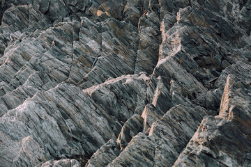 The rock
