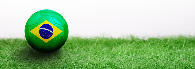 Panoramic Green grass and flagged soccer ball