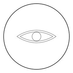 Eye the black color icon in circle or round