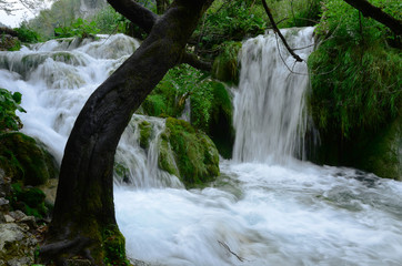 Wasserfall, Plitvicer Seen, Nationalpark, Kroatien,