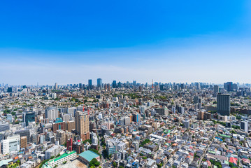 Fototapeta premium 東京 青空と都市風景
