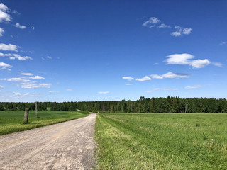 Fototapeta na wymiar Country road in Belarus