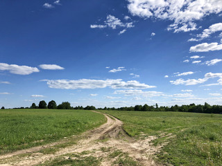 Country road in Belarus