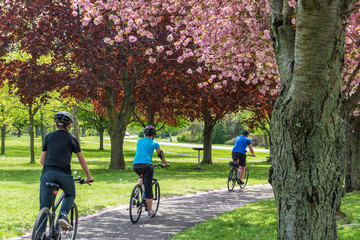 Cycling in the Park