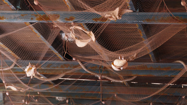 decorating the ceiling with cockleshells in a cafe