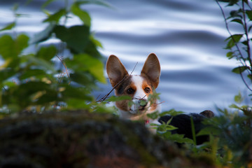 Freeze, she can't see me