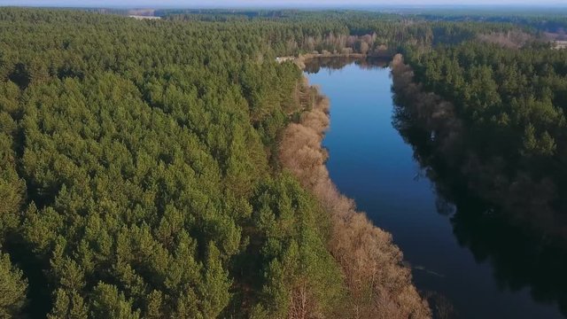 Beautiful aerial view of sring forest and river. Eye bird view on summer nature, green pine forest and meandering river.