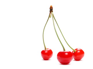 Fresh cherries isolated on white background