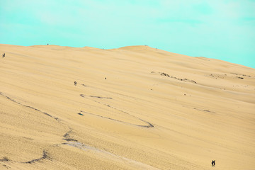 Beautiful white sand dune in vintage style 