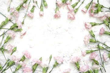pink carnations flowers on a marble background. Top view, flatlay